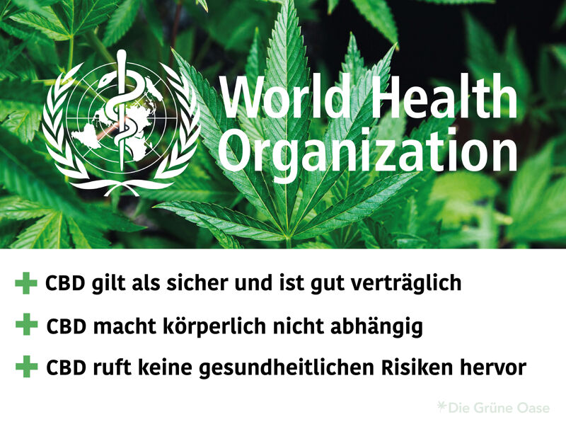 Bericht der WHO zu CBD